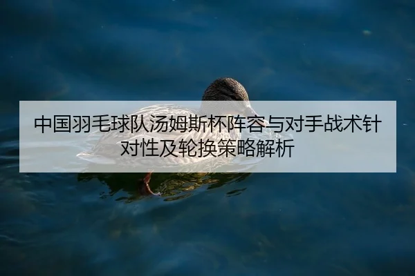 zhong-guo-yu-mao-qiu-dui-tang-mu-si-bei-zhen-rong-yu-dui-shou-zhan-shu-zhen-dui-xing-ji-lun-huan-ce-lve-jie-xi-2-447.jpg